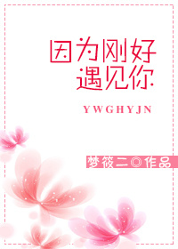 因为刚好遇见你梦筱二小说